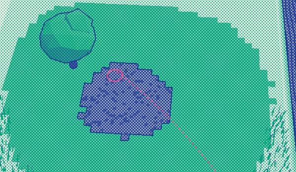 Loom Wilds